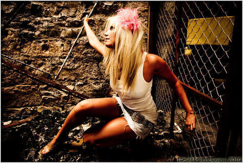 Los Gatos Photographers